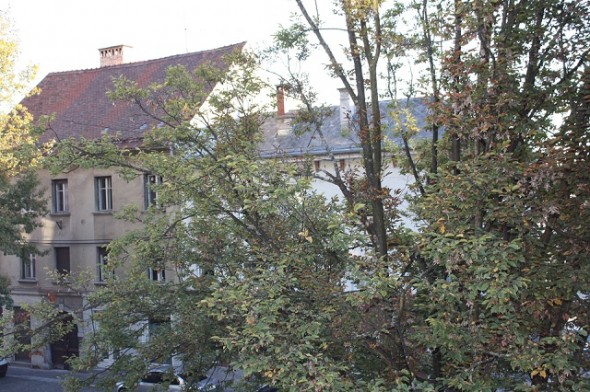 Afternoon light outside my window in Ljubljana